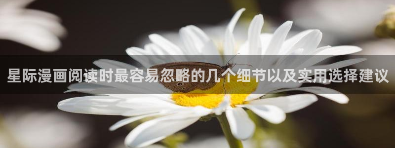 漫画最新章节