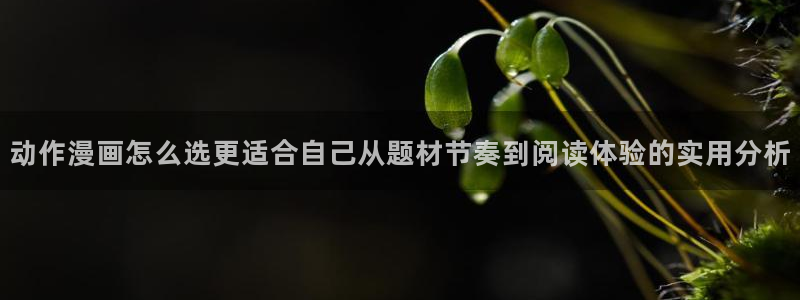 穿越漫画：动作漫画怎么选更适合自己从题材节奏到阅读体验的实用分析